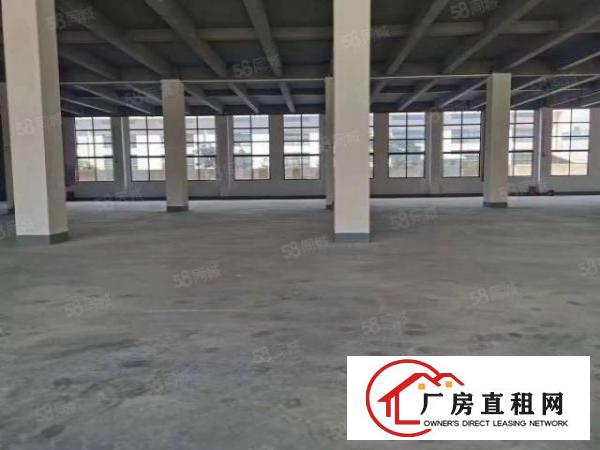  大岭山新出全新标准独院厂房分租700平方，可办环评