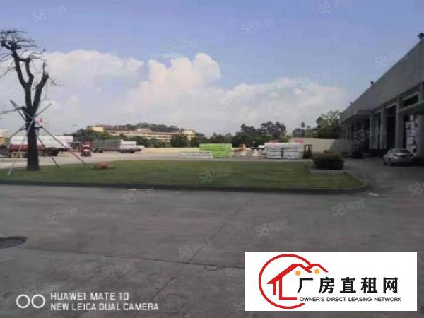  大岭山杨屋新出原房东钢结构厂房独门独院8000平方滴水8米
