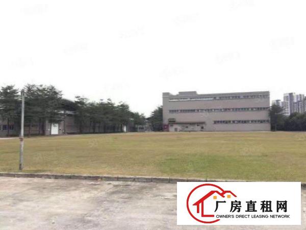  大岭山杨屋新出原房东钢结构厂房独门独院8000平方滴水8米