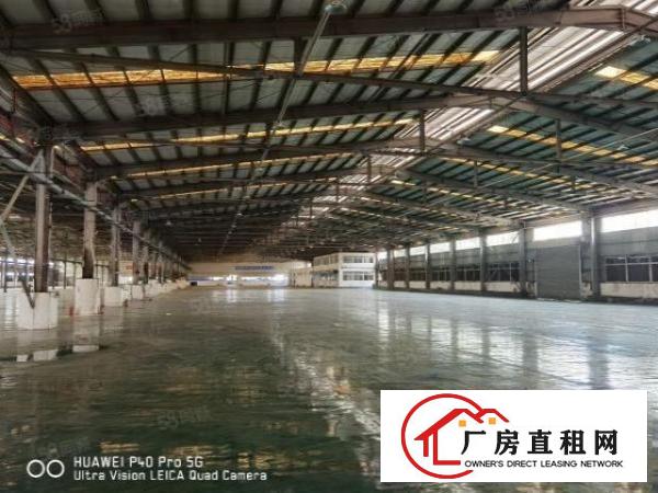  大岭山杨屋新出原房东钢结构厂房独门独院8000平方滴水8米