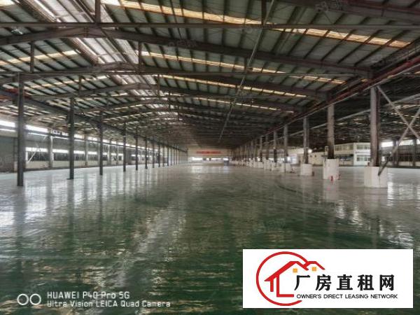  大岭山杨屋新出原房东钢结构厂房独门独院8000平方滴水8米