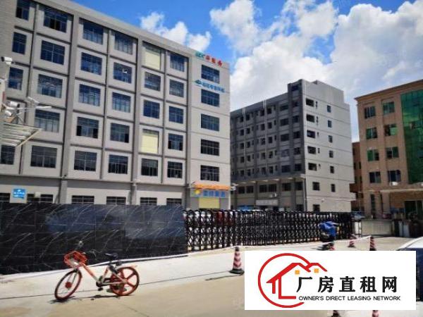  大岭山新空出500平方一楼标准厂房出租仓库出租全新地坪漆