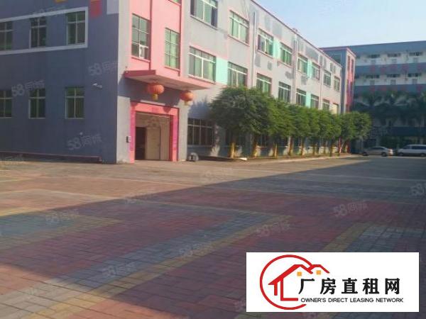  大岭山鸡翅岭工业园区新出楼上1200平带现成办公室精装修厂房