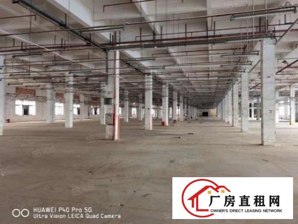  大岭山重工业独院厂房33000平原房东厂房招租可办环评可分租
