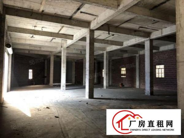  大岭山镇大片美800平原房东独栋单一层标准厂房出租