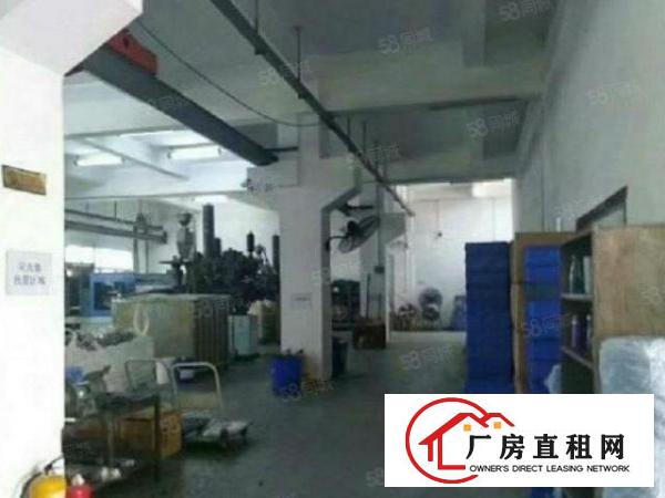  下虎山原房东独门独院1楼2000平厂房分租过环坪