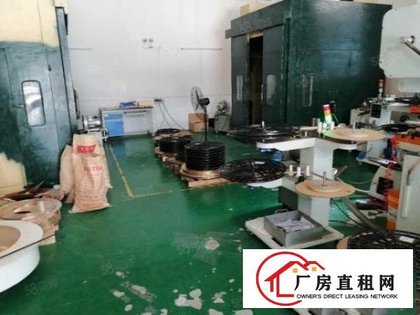  大岭山杨屋一楼小厂房分租300平米，水电齐全