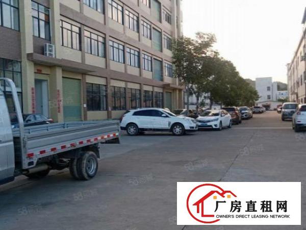  原房东颜屋新出一楼1300平厂房出租精装修办公室地坪漆形象好
