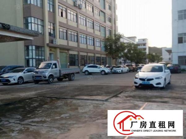  原房东颜屋新出一楼1300平厂房出租精装修办公室地坪漆形象好
