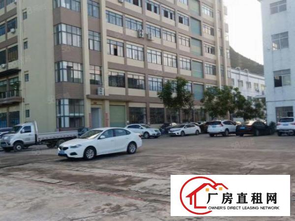 原房东颜屋新出一楼1300平厂房出租精装修办公室地坪漆形象好