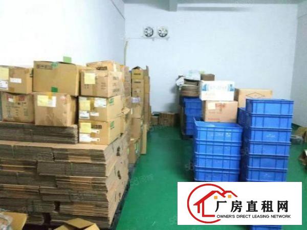  原房东颜屋新出一楼1300平厂房出租精装修办公室地坪漆形象好