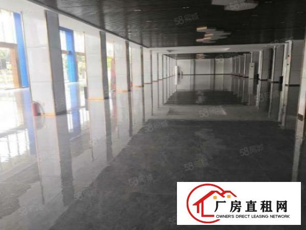  大岭山原房东大马路边上新出车行13000平方店铺出租，带装修