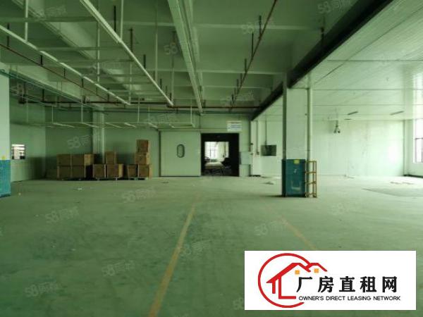  大岭山欧式花园式工业园1楼4600平高6米（可分租）