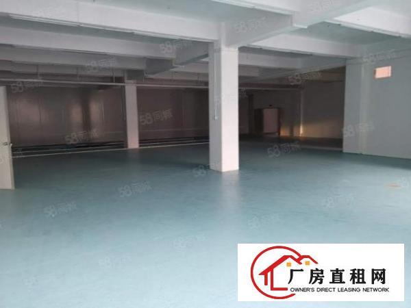  大岭山原房东厂房招租，独院分租带现成办公室，地坪漆。