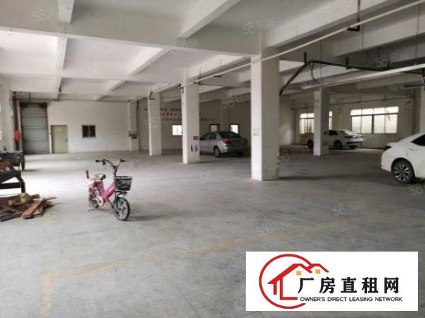  大岭山原房东厂房招租，独院分租带现成办公室，地坪漆。