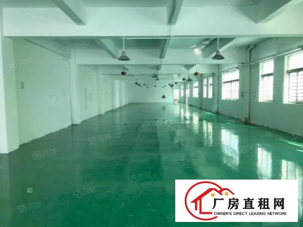  大岭山900平方水电齐全厂房出租仓库出租可办环评