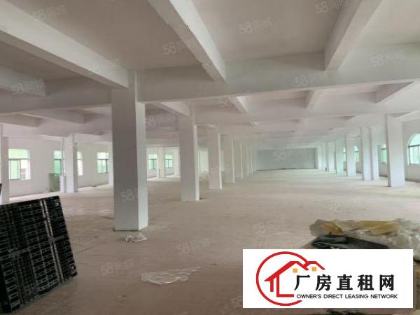 杨屋原房东独院，无公摊，标准厂房4500平出租，大小可分租