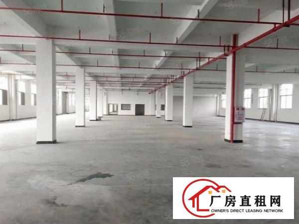  大岭村工业园新空出1楼1000平米独栋标准厂房分租