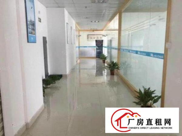  大岭村工业园新空出1楼1000平米独栋标准厂房分租