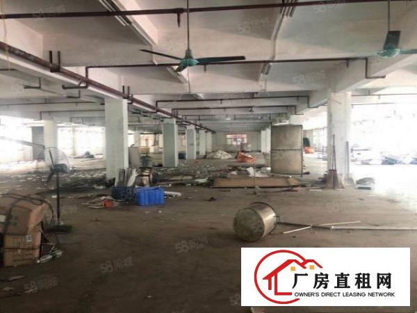  深圳旁边大岭山杨屋一手房东9100平方独门独院厂房白菜价出租