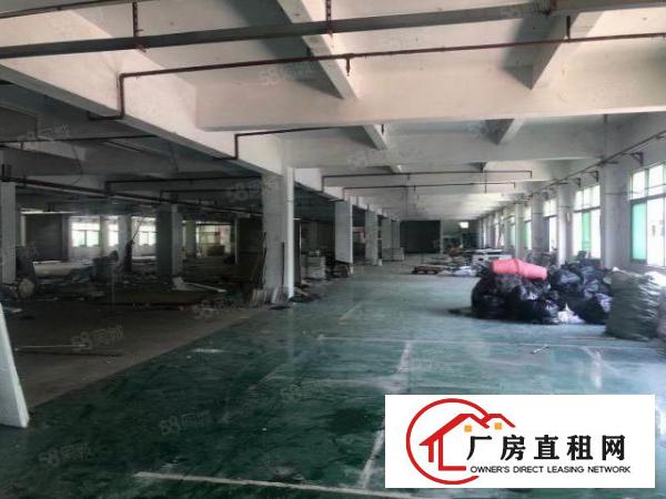  深圳旁边大岭山杨屋一手房东9100平方独门独院厂房白菜价出租