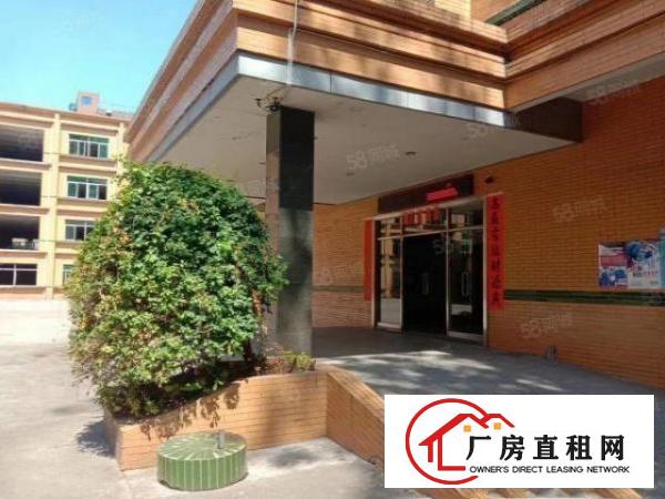  大岭山杨屋村新空出10000平米独院厂房，证件齐全可办环