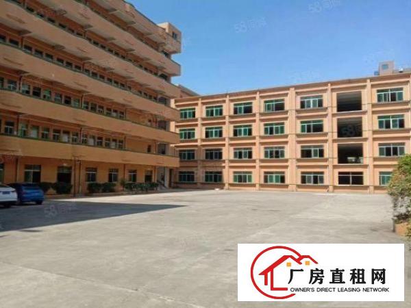  大岭山杨屋村新空出10000平米独院厂房，证件齐全可办环