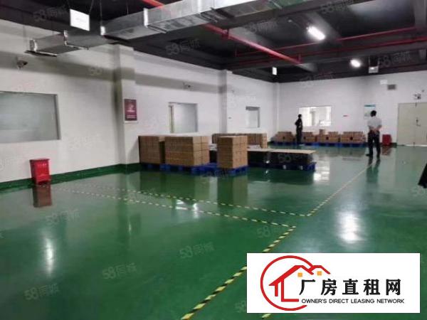  大岭山杨屋村新空出10000平米独院厂房，证件齐全可办环