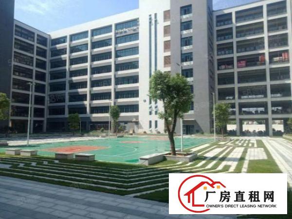  大岭山新出红本精装修1650平方厂房出租，可分租