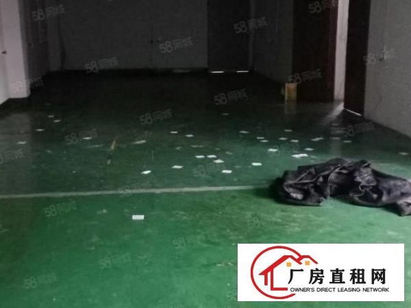  金桔空出楼上800方标准厂房出租，适合电子仓库电商等行业