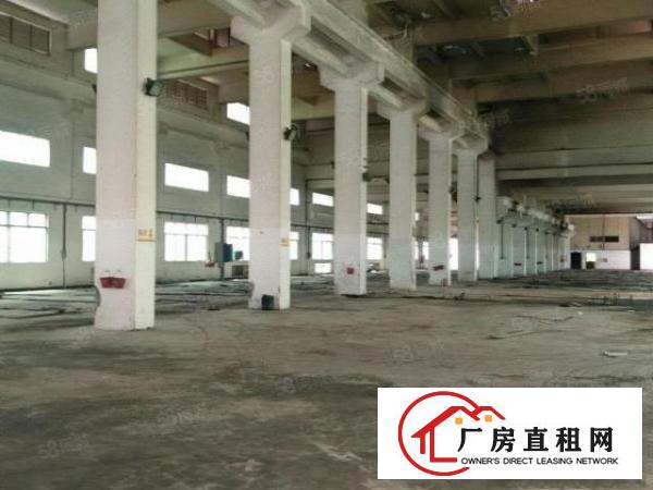  百花洞新出原房东5000平单一层砖墙到顶环评钢构独院厂房出租