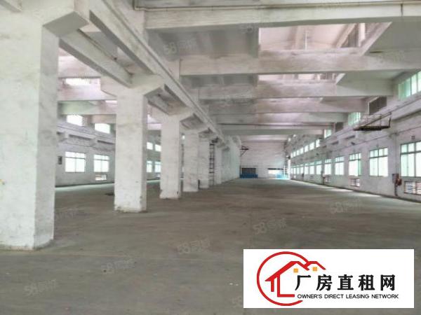  百花洞新出原房东5000平单一层砖墙到顶环评钢构独院厂房出租