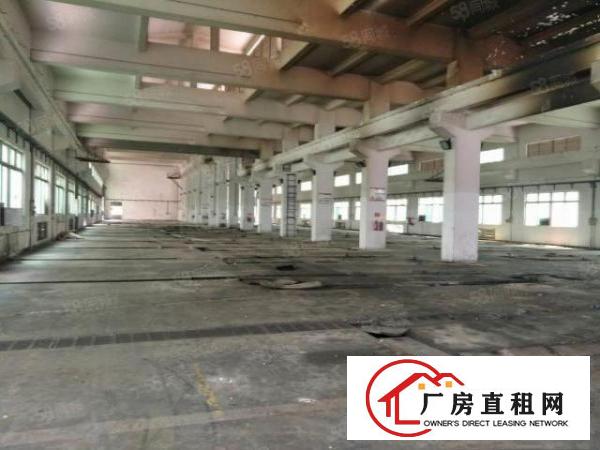  百花洞新出原房东5000平单一层砖墙到顶环评钢构独院厂房出租