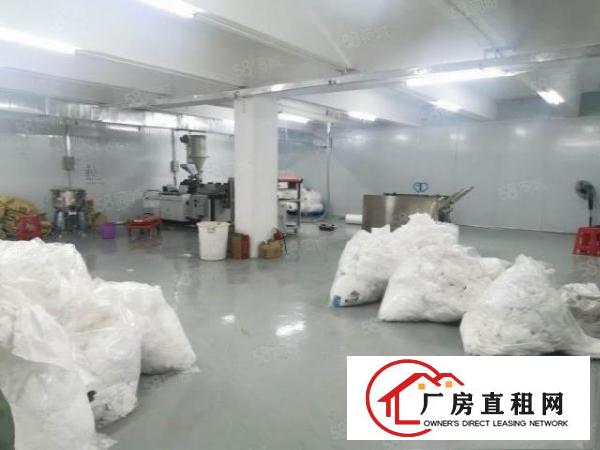  大岭山新出小面积无尘车间标准2楼550平厂房出租价格便宜