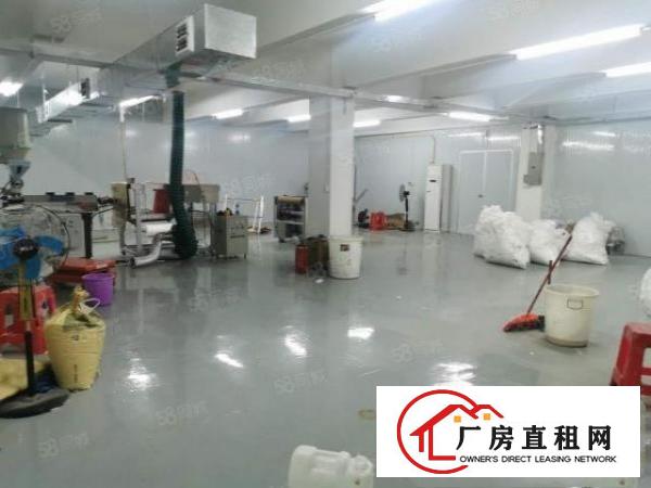  大岭山新出小面积无尘车间标准2楼550平厂房出租价格便宜