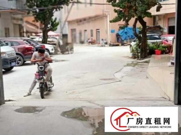  马蹄岗空出单一层500方钢结构厂房出租,低价分租