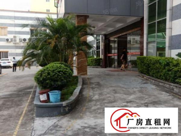  大岭山杨屋村成熟工业区一楼精装修600方标准厂房出租