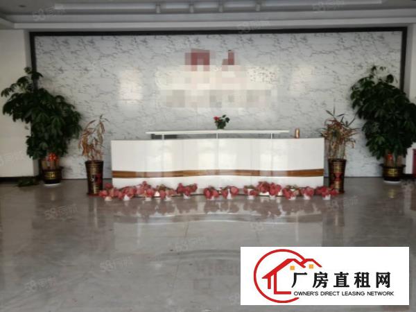  大岭山杨屋村成熟工业区一楼精装修600方标准厂房出租