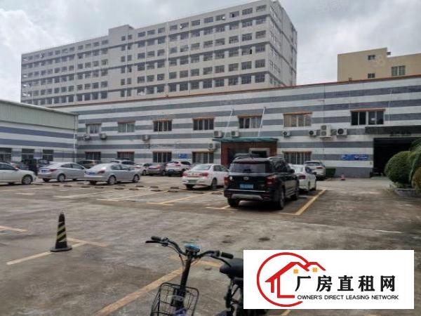  大岭山颜屋路，新出一楼800平出租，豪华装修，2楼无尘车间
