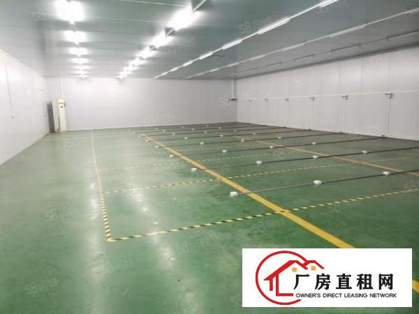  大岭山颜屋路，新出一楼800平出租，豪华装修，2楼无尘车间