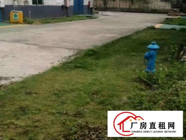  原房东1000平无公摊独门独院有环评滴水8米厂房出租