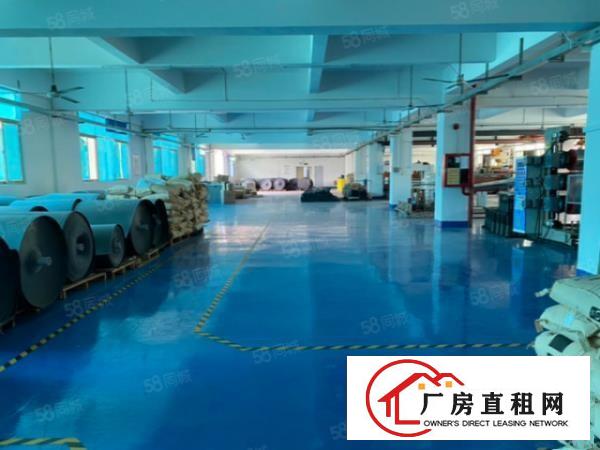  大岭山镇原房东出租一楼1000平厂房有办公室形象好可分租