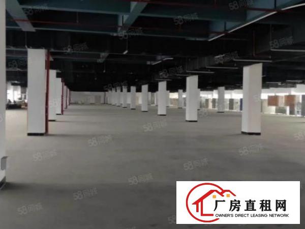  大岭山上市公司自用独门独院厂房全球招商，证件齐全可办环