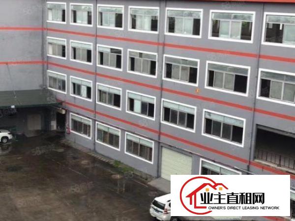 大岭山连平村2楼1000平标准厂房出租3吨电梯大小可分租
