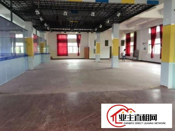  马蹄岗带绿化经典独院2层1000平厂房出租超大空地价格便宜