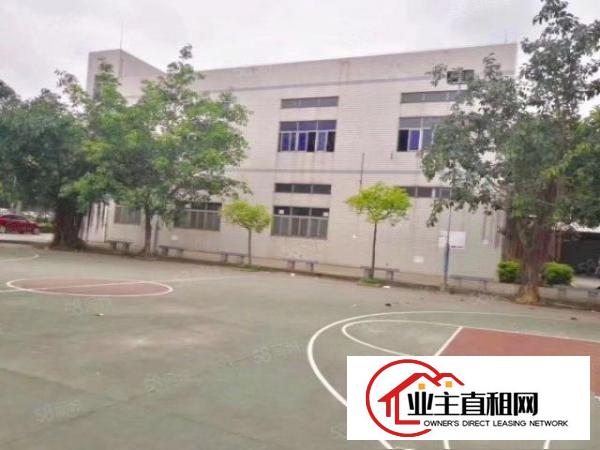  马蹄岗带绿化经典独院2层1000平厂房出租超大空地价格便宜