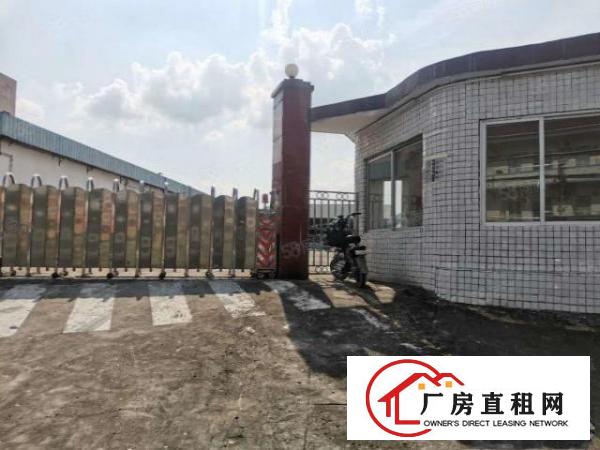  大片美村空出独门独院单一层可办环评，11000方钢构厂房出租