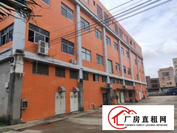 （可过环坪）杨屋新空出独门独院3楼2100平厂房出租无公摊
