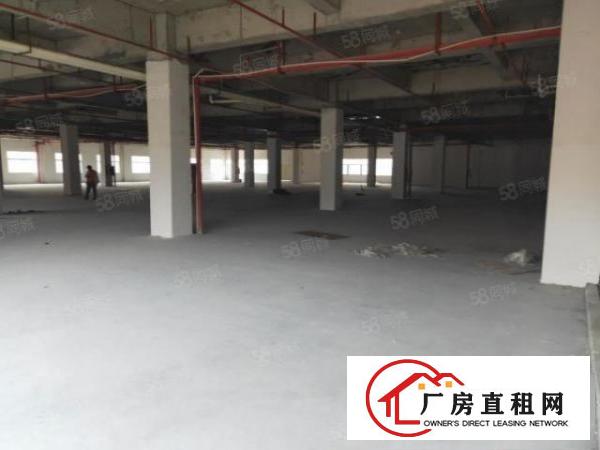  （可过环坪）杨屋新空出独门独院3楼2100平厂房出租无公摊