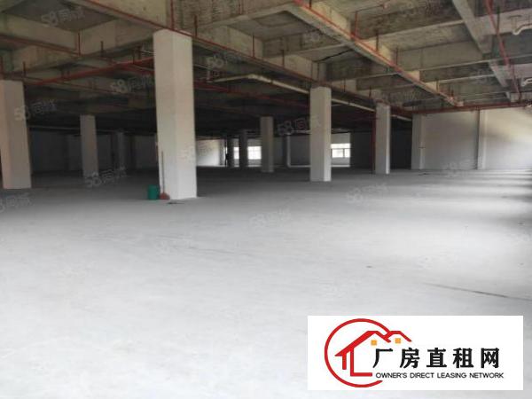  （可过环坪）杨屋新空出独门独院3楼2100平厂房出租无公摊